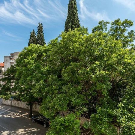 Apartments Cezar سبليت المظهر الخارجي الصورة