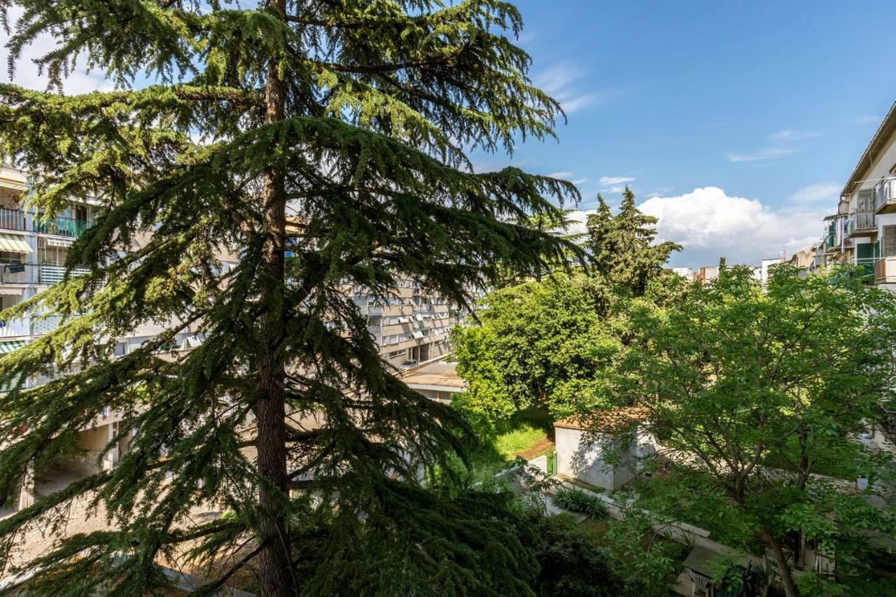 Apartments Cezar سبليت المظهر الخارجي الصورة